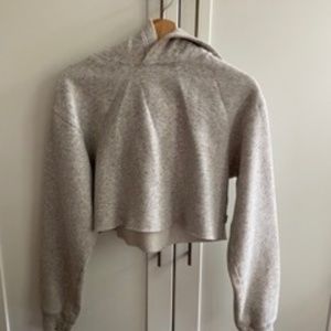 Aritzia cropped hoodie